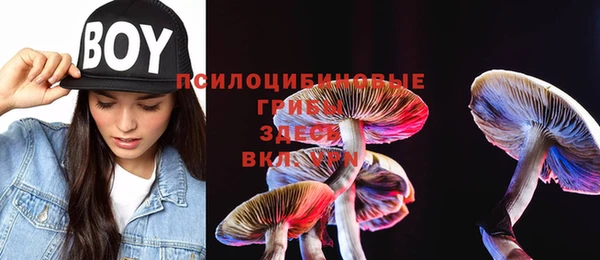 MDMA Арсеньев
